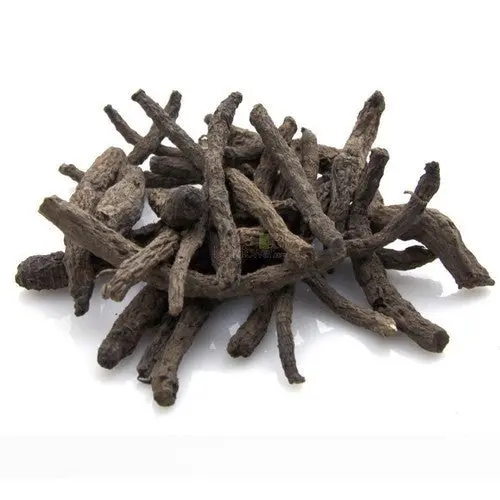 Kali-Musli