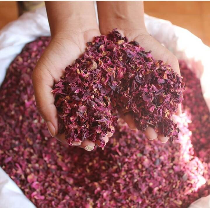 Gulab Phool | Rose Petals