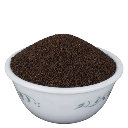 Tulsi beej