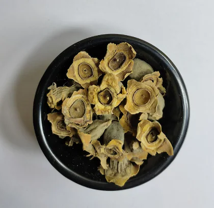 Vakumbha