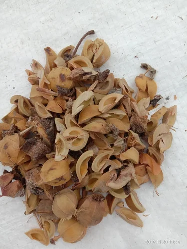 amla-guthli