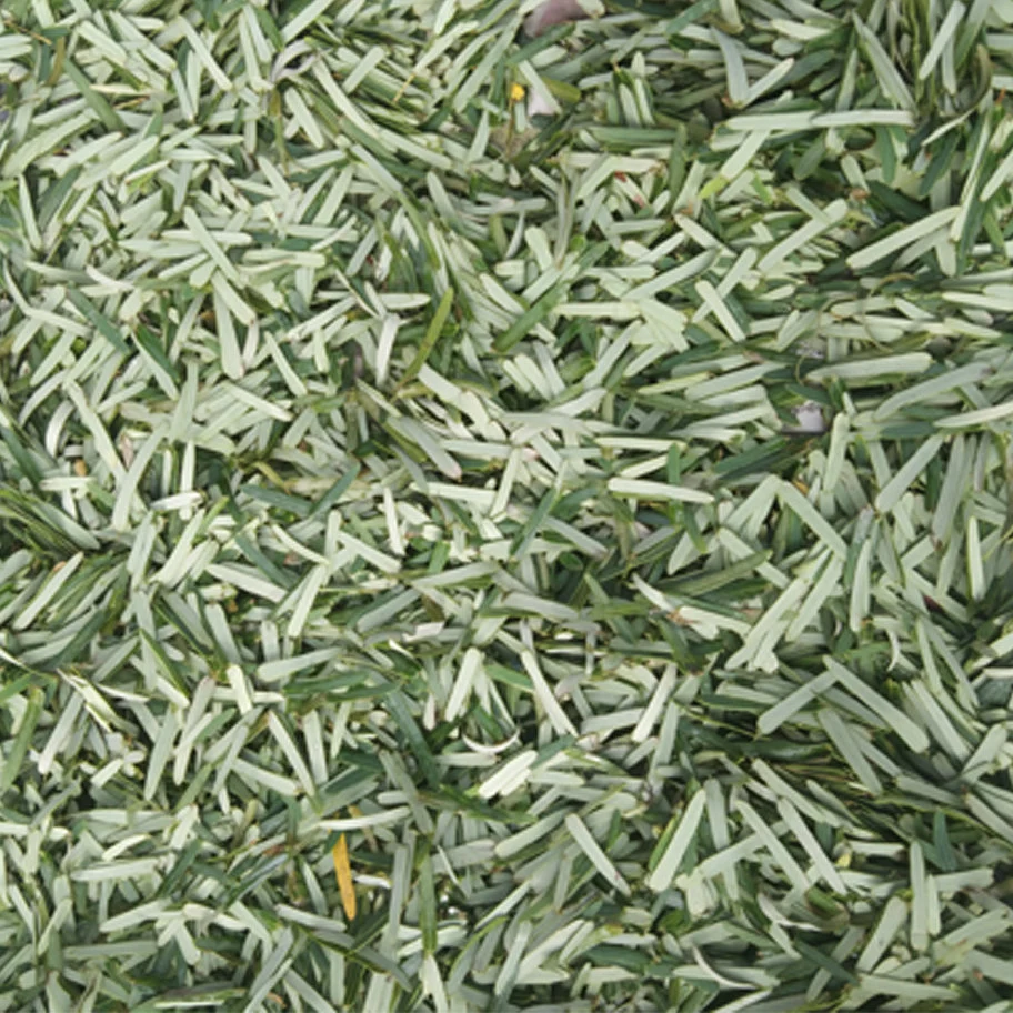 amla leaves