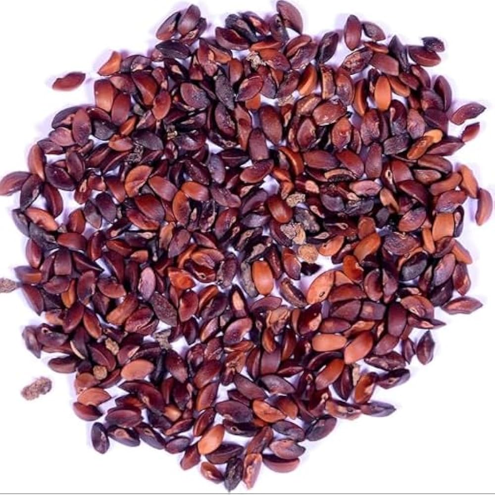 amla seeds