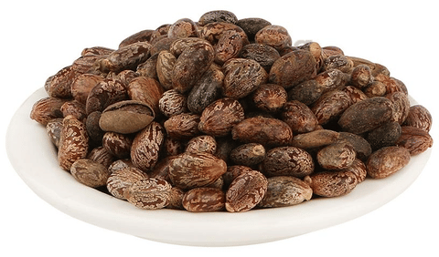 arnandi seed