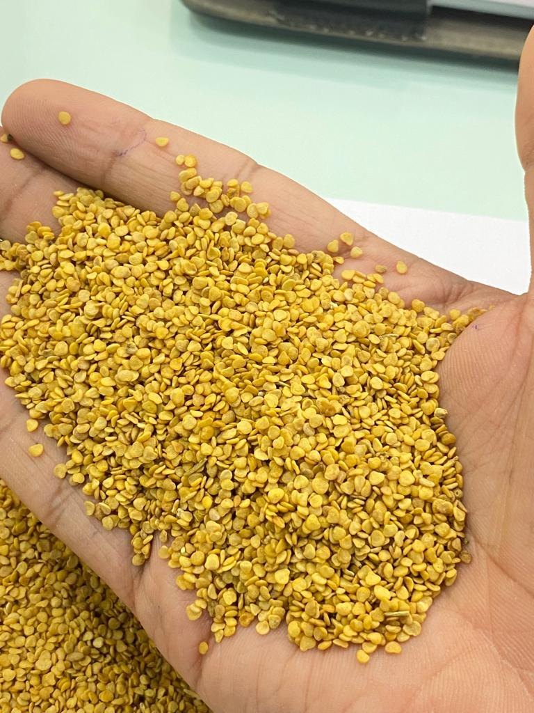 ashwagandha-seeds