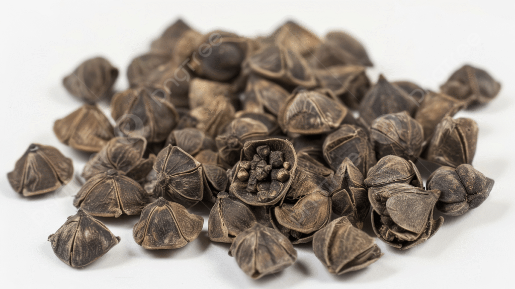 babul-pods