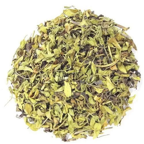 jal-brahmi