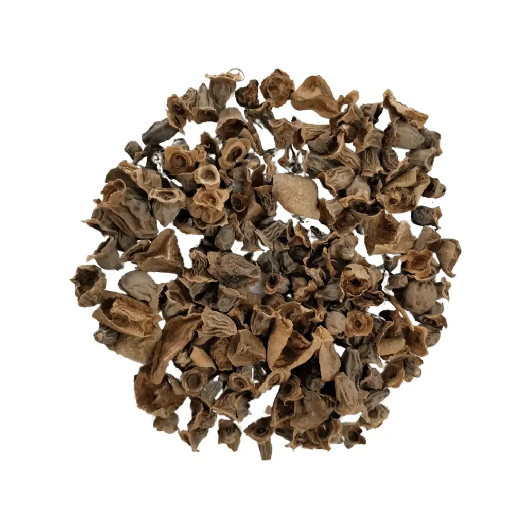 baikumbha