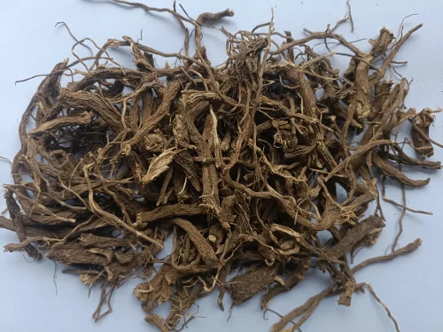 coleus-root
