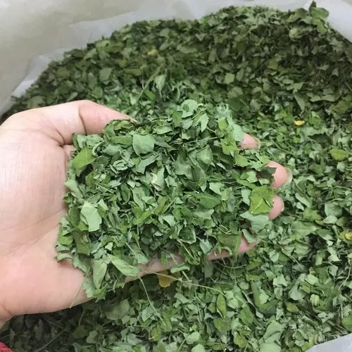moringa-leave