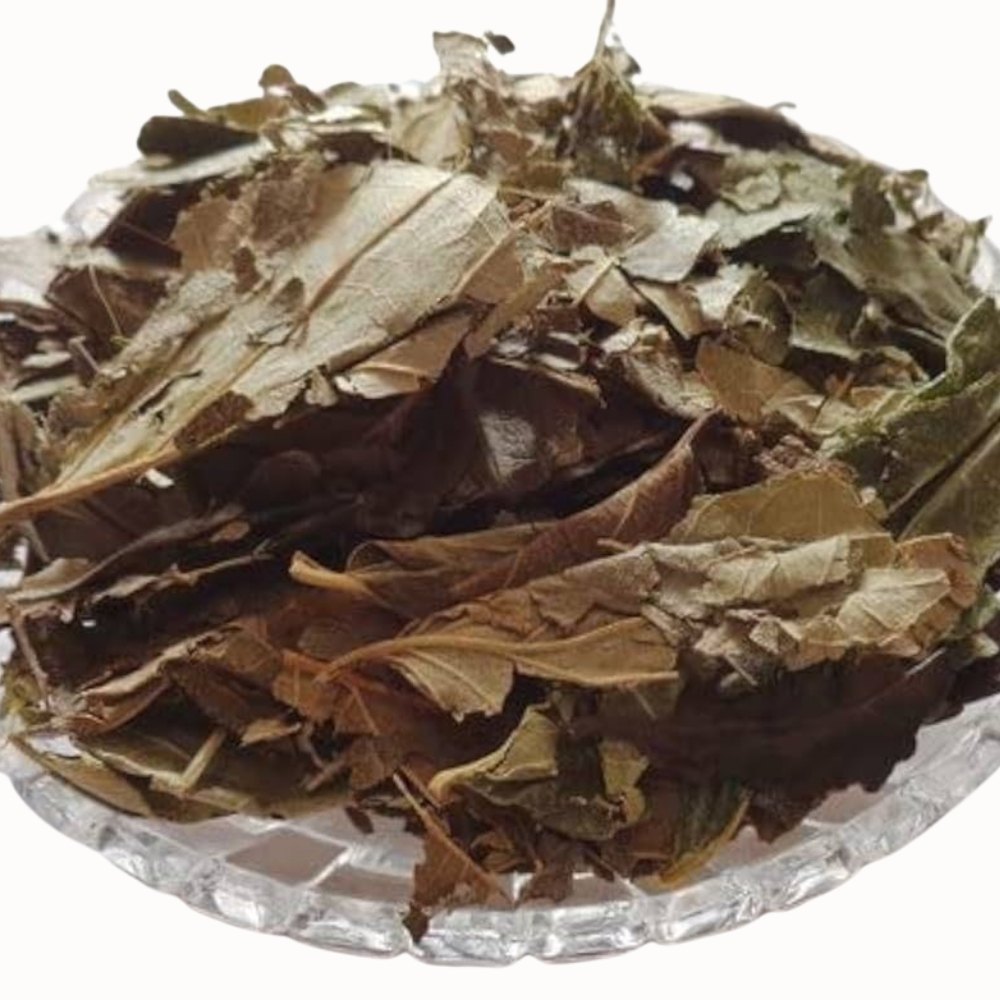 harshringar-leaves