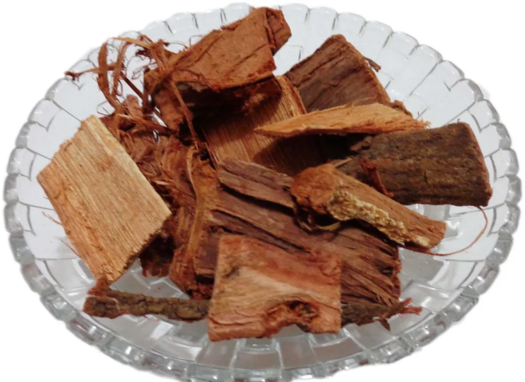 kachnar-bark