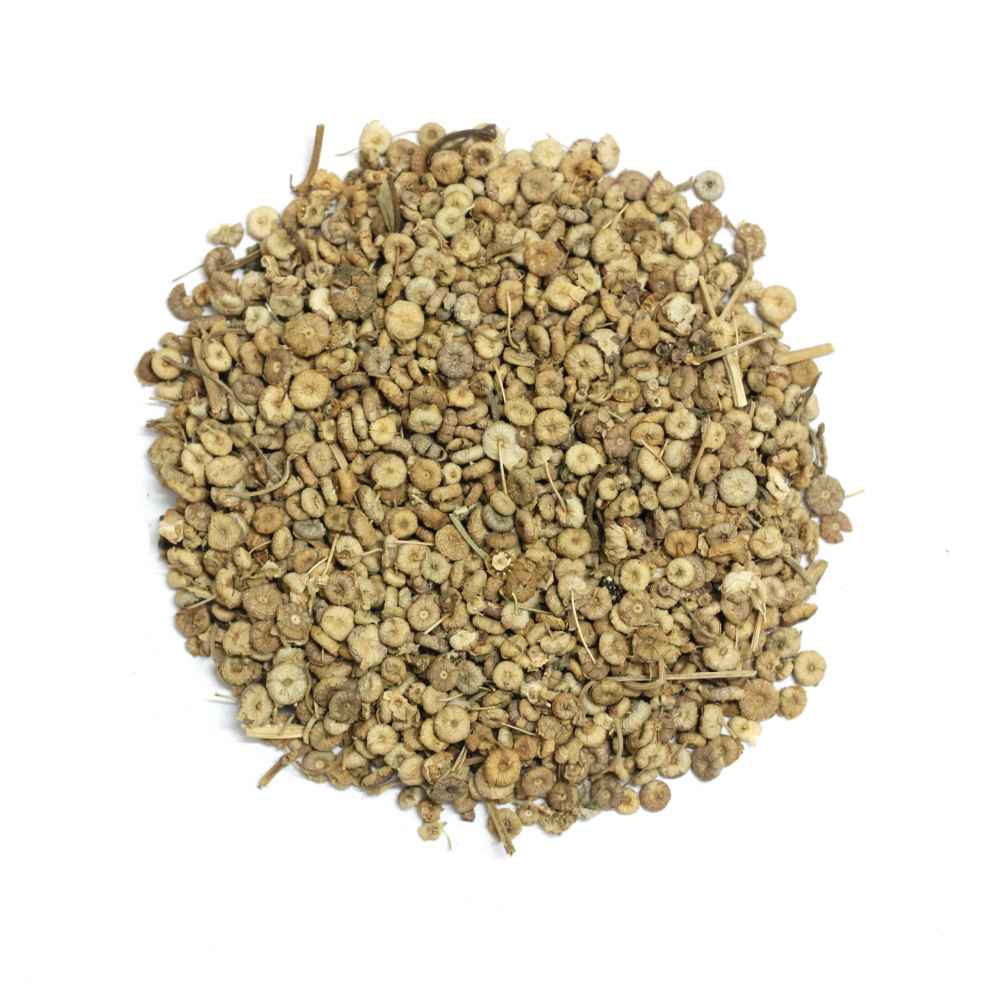 khubazi