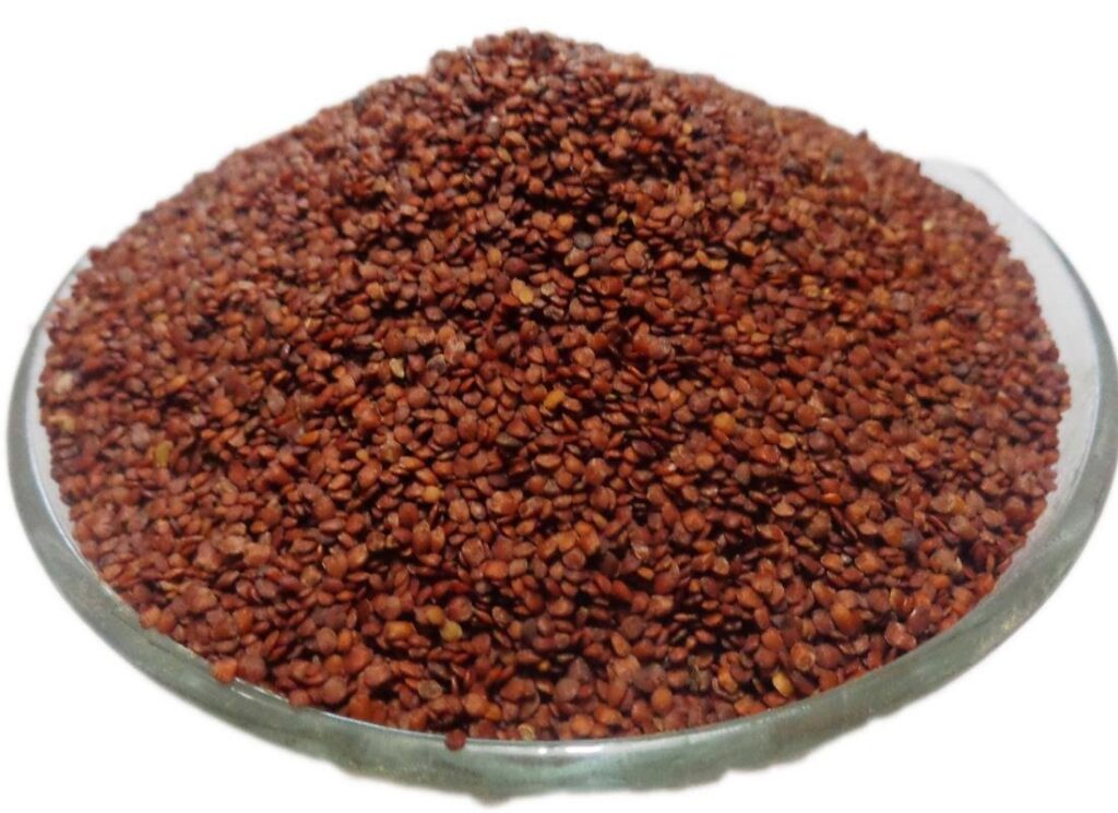 lajwanti panchang