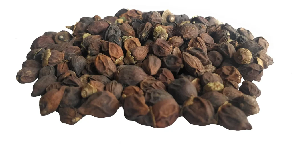 lisoda