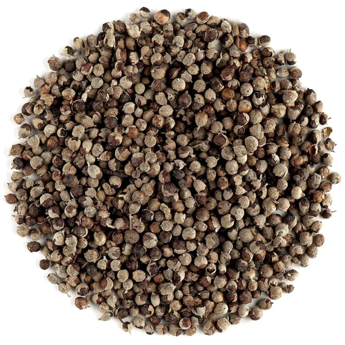 nirgundi-sambhalu-seed-