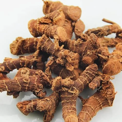 alipina-galanga-root