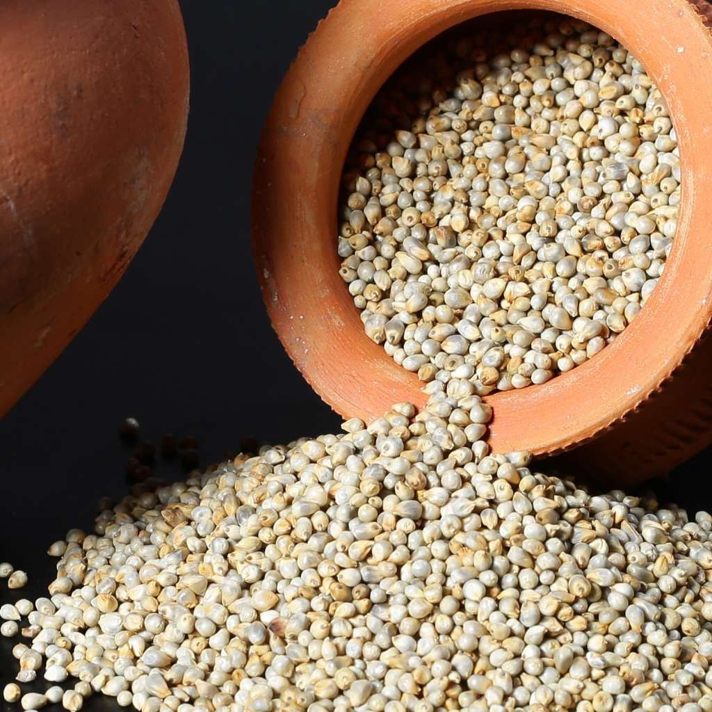 pearl-millet
