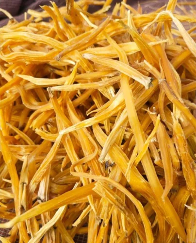 shatavari-yellow