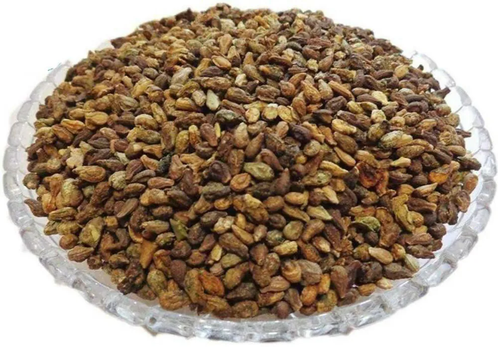 shivlingi seeds